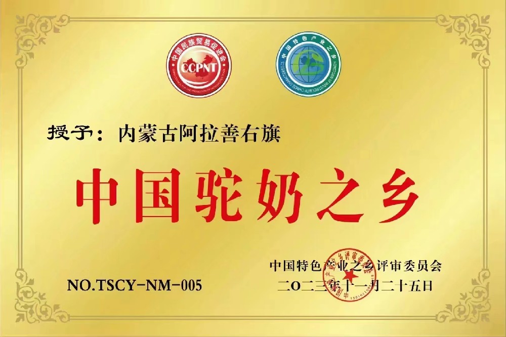 内蒙古阿拉善荣获“中国驼奶之乡”